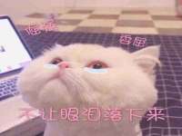 临汾市佳和福宇商贸有限公司