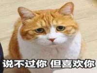 临汾市佳和福宇商贸有限公司