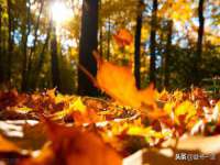 临汾市佳和福宇商贸有限公司