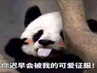 临汾市佳和福宇商贸有限公司