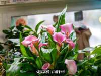 临汾市佳和福宇商贸有限公司