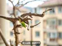 临汾市佳和福宇商贸有限公司