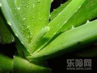 临汾市佳和福宇商贸有限公司