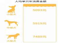 临汾市佳和福宇商贸有限公司