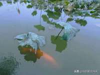 临汾市佳和福宇商贸有限公司