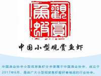 临汾市佳和福宇商贸有限公司