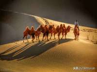 临汾市佳和福宇商贸有限公司