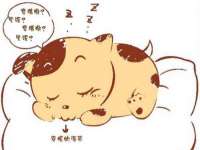 临汾市佳和福宇商贸有限公司